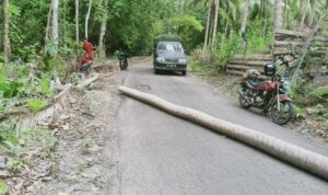 IMG-20201213-WA0055