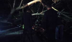 IMG-20210224-WA0064