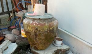 IMG-20210717-WA0009