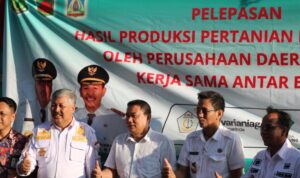 IMG-20220720-WA0093