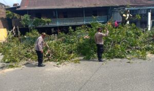 IMG-20230118-WA0021