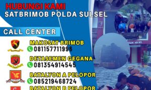 313314410e1143fca7971ad379941530